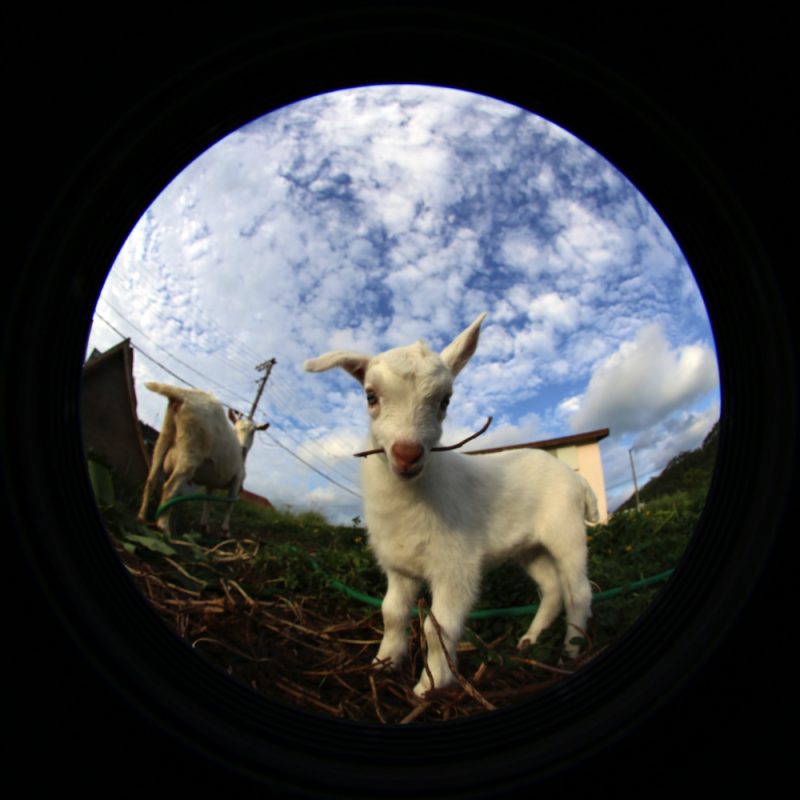 2016-11-11-08-11-13-copy