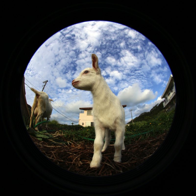 2016-11-11-08-11-28-copy