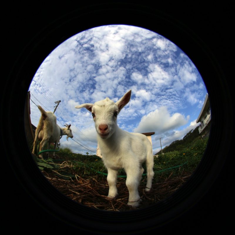 2016-11-11-08-11-39-copy