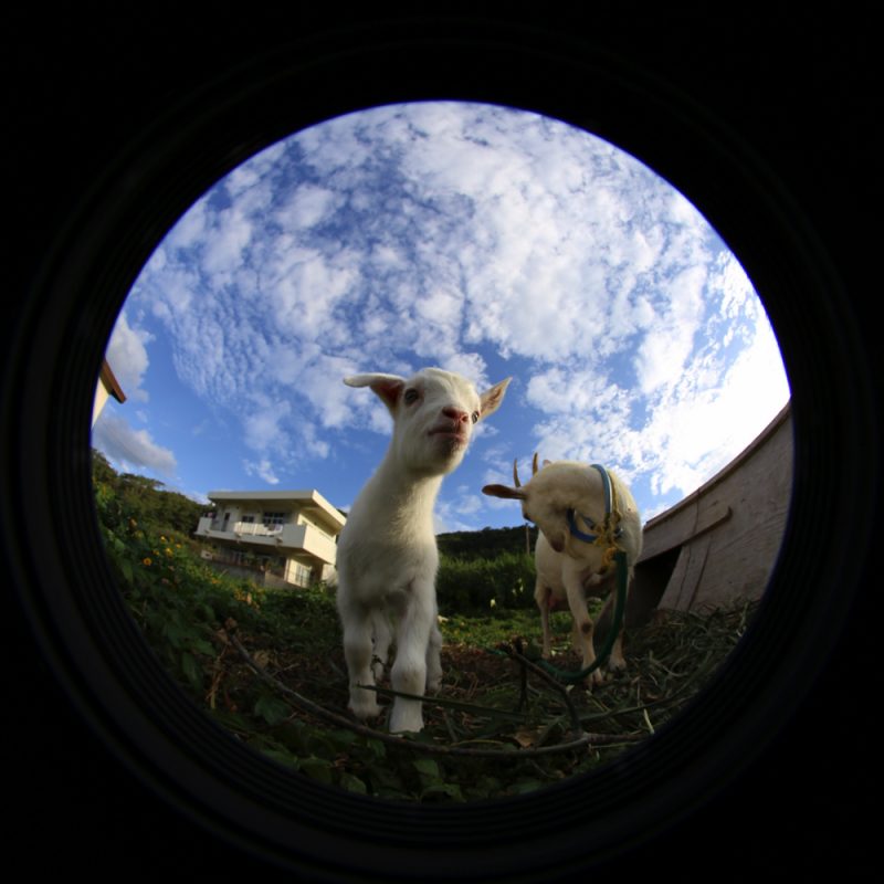 2016-11-11-08-12-41-copy