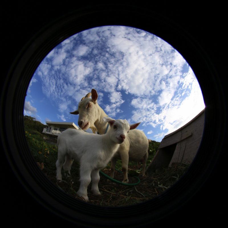 2016-11-11-08-13-02-copy