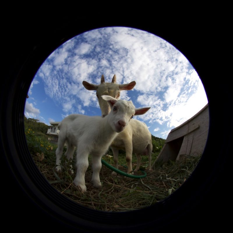 2016-11-11-08-13-05-copy