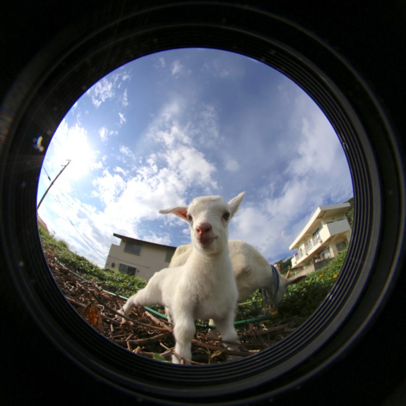 2016-11-11-15-16-51-copy