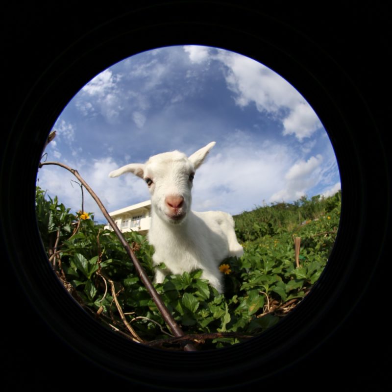 2016-11-11-15-18-29-copy