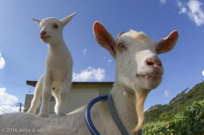 2016-11-12-14-50-21-1