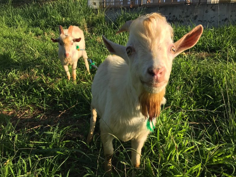 2016-11-17-08-14-40-hdr