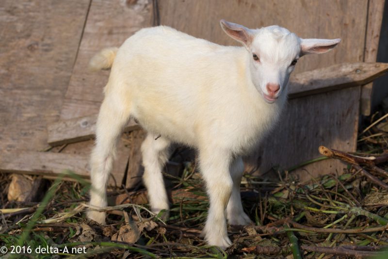 2016-11-29-08-34-07-2