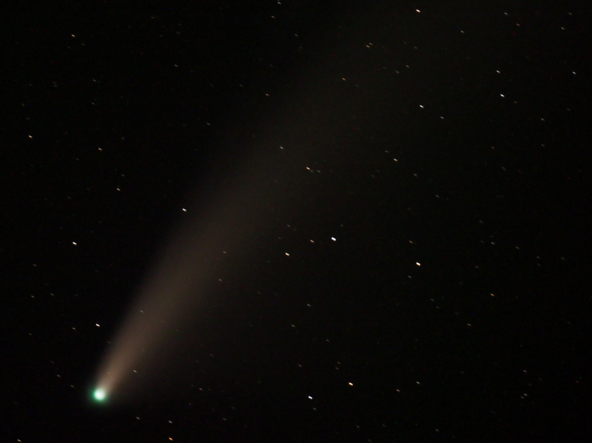 ネオワイズ彗星、バッチリ撮りました!!!