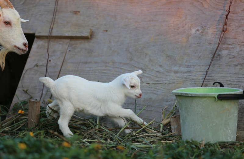 %e3%82%b9%e3%82%af%e3%83%aa%e3%83%bc%e3%83%b3%e3%82%b7%e3%83%a7%e3%83%83%e3%83%88-2016-11-06-18-35-39