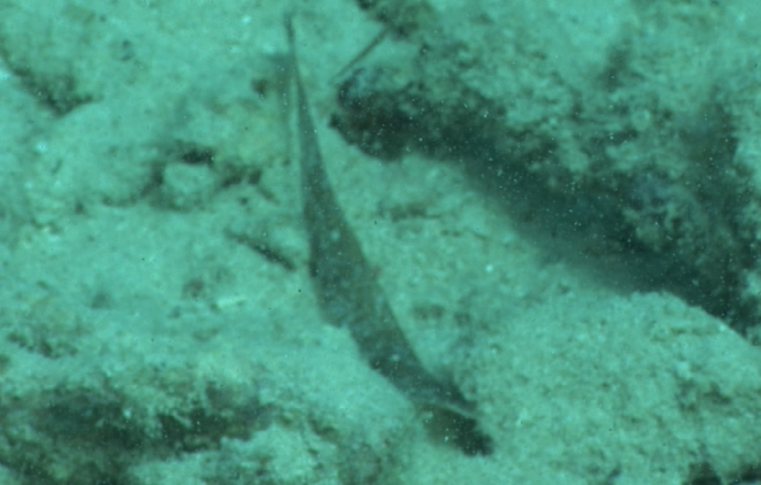 %e3%82%b9%e3%82%af%e3%83%aa%e3%83%bc%e3%83%b3%e3%82%b7%e3%83%a7%e3%83%83%e3%83%88-2016-11-16-18-01-21