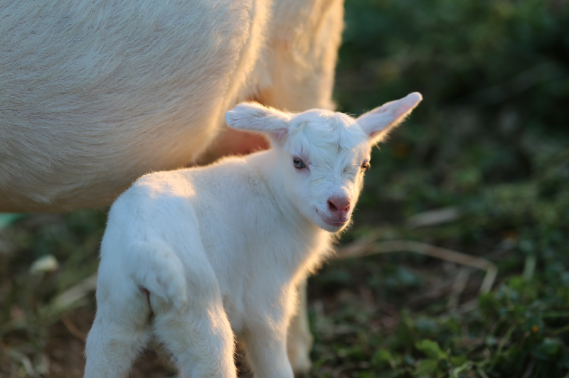 %e3%82%b9%e3%82%af%e3%83%aa%e3%83%bc%e3%83%b3%e3%82%b7%e3%83%a7%e3%83%83%e3%83%88-2016-11-06-18-33-17