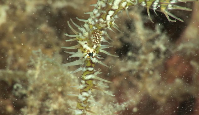 スクリーンショット 2016-05-10 19.45.59
