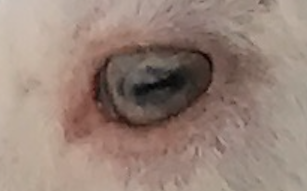 %e3%82%b9%e3%82%af%e3%83%aa%e3%83%bc%e3%83%b3%e3%82%b7%e3%83%a7%e3%83%83%e3%83%88-2016-11-16-18-09-37