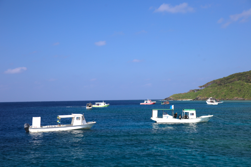 %e3%82%b9%e3%82%af%e3%83%aa%e3%83%bc%e3%83%b3%e3%82%b7%e3%83%a7%e3%83%83%e3%83%88-2016-11-16-17-56-28