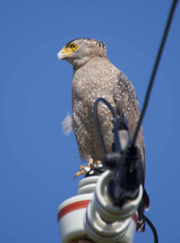 %e3%82%b9%e3%82%af%e3%83%aa%e3%83%bc%e3%83%b3%e3%82%b7%e3%83%a7%e3%83%83%e3%83%88-2016-11-08-13-49-57