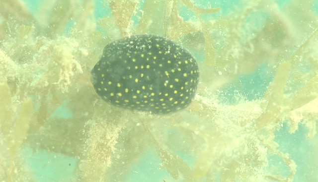 スクリーンショット 2016-05-10 19.46.22