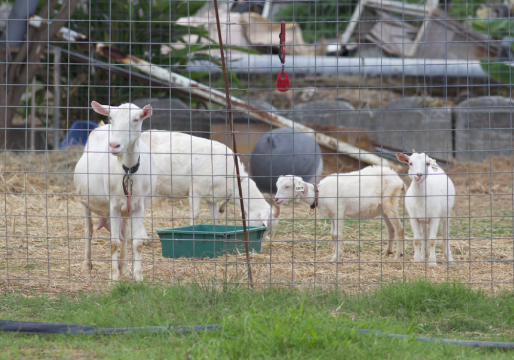 %e3%82%b9%e3%82%af%e3%83%aa%e3%83%bc%e3%83%b3%e3%82%b7%e3%83%a7%e3%83%83%e3%83%88-2016-11-15-22-04-10