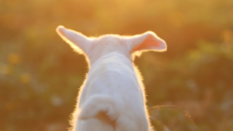 %e3%82%b9%e3%82%af%e3%83%aa%e3%83%bc%e3%83%b3%e3%82%b7%e3%83%a7%e3%83%83%e3%83%88-2016-11-06-18-36-29