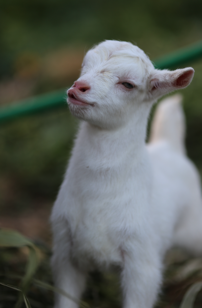 %e3%82%b9%e3%82%af%e3%83%aa%e3%83%bc%e3%83%b3%e3%82%b7%e3%83%a7%e3%83%83%e3%83%88-2016-11-06-18-35-03