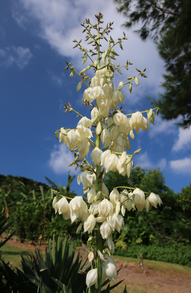 %e3%82%b9%e3%82%af%e3%83%aa%e3%83%bc%e3%83%b3%e3%82%b7%e3%83%a7%e3%83%83%e3%83%88-2016-11-08-13-52-53