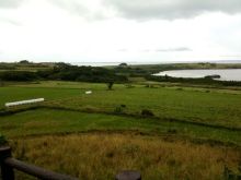 石垣島ワンだふる生活