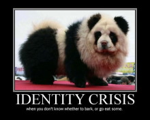 石垣島ワンだふる生活