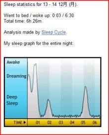 $石垣島ワンだふる生活