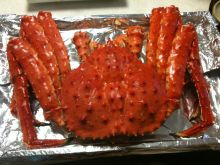 $石垣島ワンだふる生活