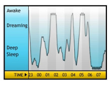 $石垣島ワンだふる生活