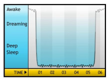 $石垣島ワンだふる生活