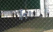 $石垣島ワンだふる生活