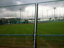 $石垣島ワンだふる生活