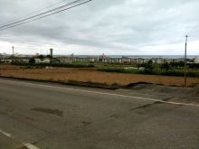 $石垣島ワンだふる生活