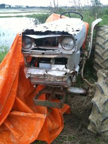 $石垣島ワンだふる生活