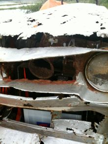 $石垣島ワンだふる生活