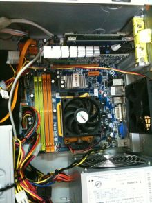 $石垣島ワンだふる生活