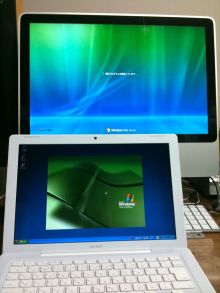 $石垣島ワンだふる生活