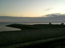 $石垣島ワンだふる生活