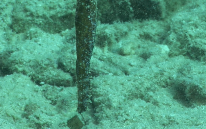 %e3%82%b9%e3%82%af%e3%83%aa%e3%83%bc%e3%83%b3%e3%82%b7%e3%83%a7%e3%83%83%e3%83%88-2016-11-16-18-00-51