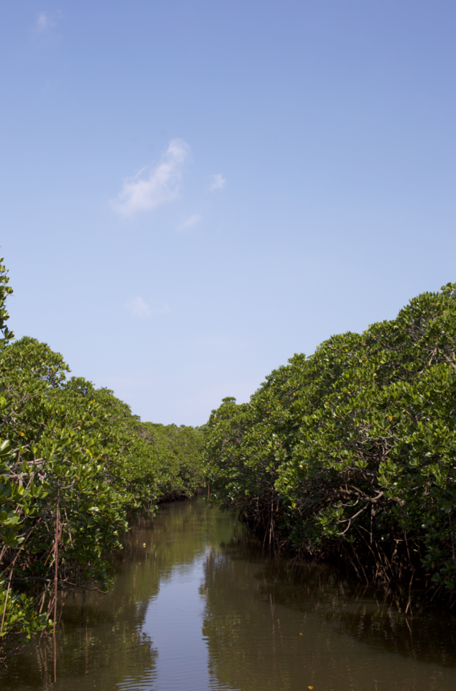 %e3%82%b9%e3%82%af%e3%83%aa%e3%83%bc%e3%83%b3%e3%82%b7%e3%83%a7%e3%83%83%e3%83%88-2016-11-08-13-54-29