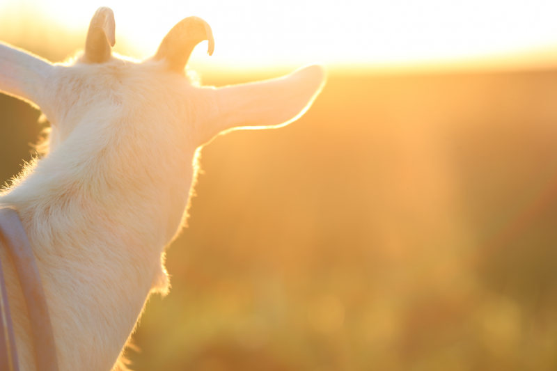 %e3%82%b9%e3%82%af%e3%83%aa%e3%83%bc%e3%83%b3%e3%82%b7%e3%83%a7%e3%83%83%e3%83%88-2016-11-06-18-36-16