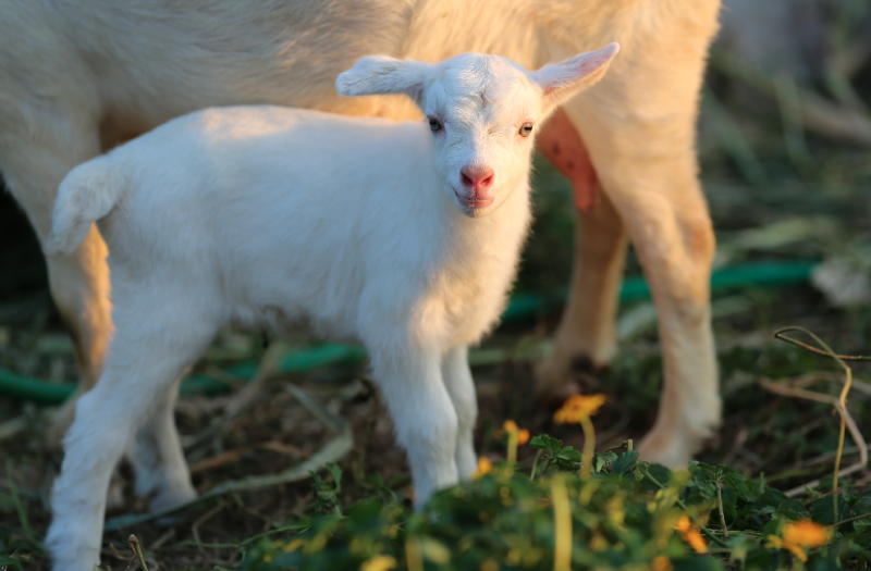 %e3%82%b9%e3%82%af%e3%83%aa%e3%83%bc%e3%83%b3%e3%82%b7%e3%83%a7%e3%83%83%e3%83%88-2016-11-06-18-33-33