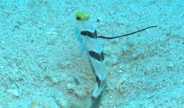 %e3%82%b9%e3%82%af%e3%83%aa%e3%83%bc%e3%83%b3%e3%82%b7%e3%83%a7%e3%83%83%e3%83%88-2016-11-16-18-02-00